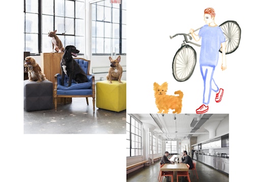 Photo collage of different elements of the Starrett Lehigh rebranding