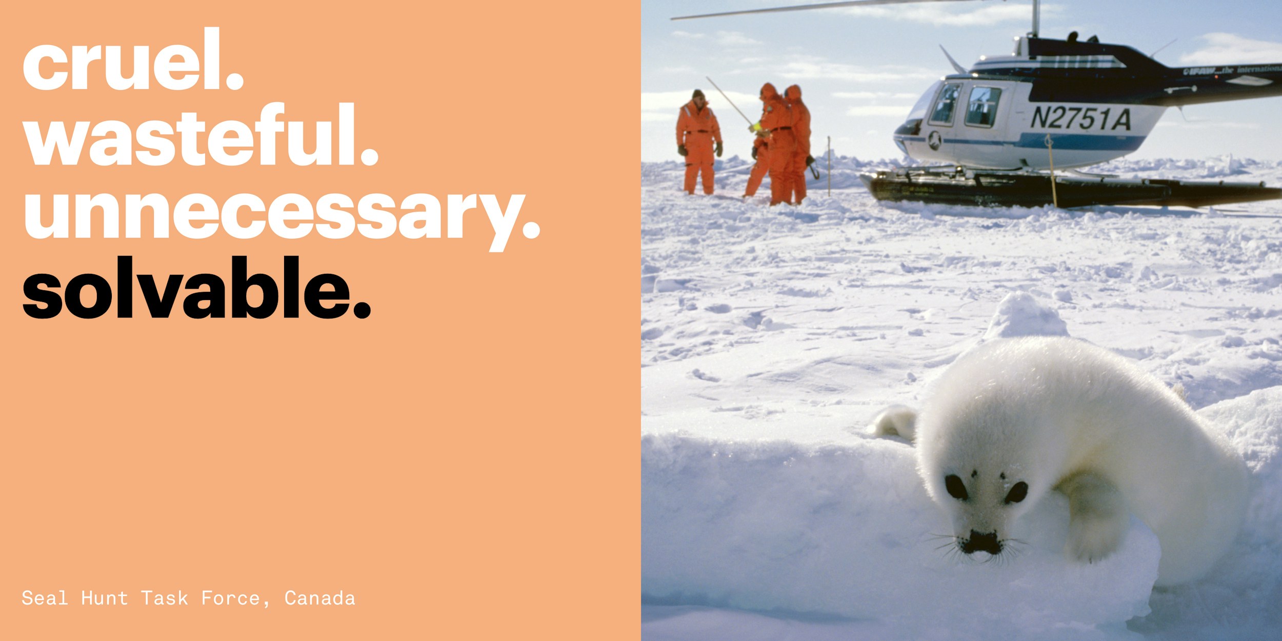 International Fund for Animal Welfare (IFAW) - Fresh thinking and bold ...